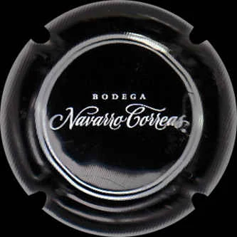 Navarro Correas N° 13, frente